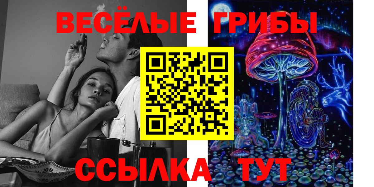 Псилоцибиновые грибы Psilocybe  Вход с VPN  Соликамск  Псилоцибиновые грибы MAGIC MUSHROOMS 